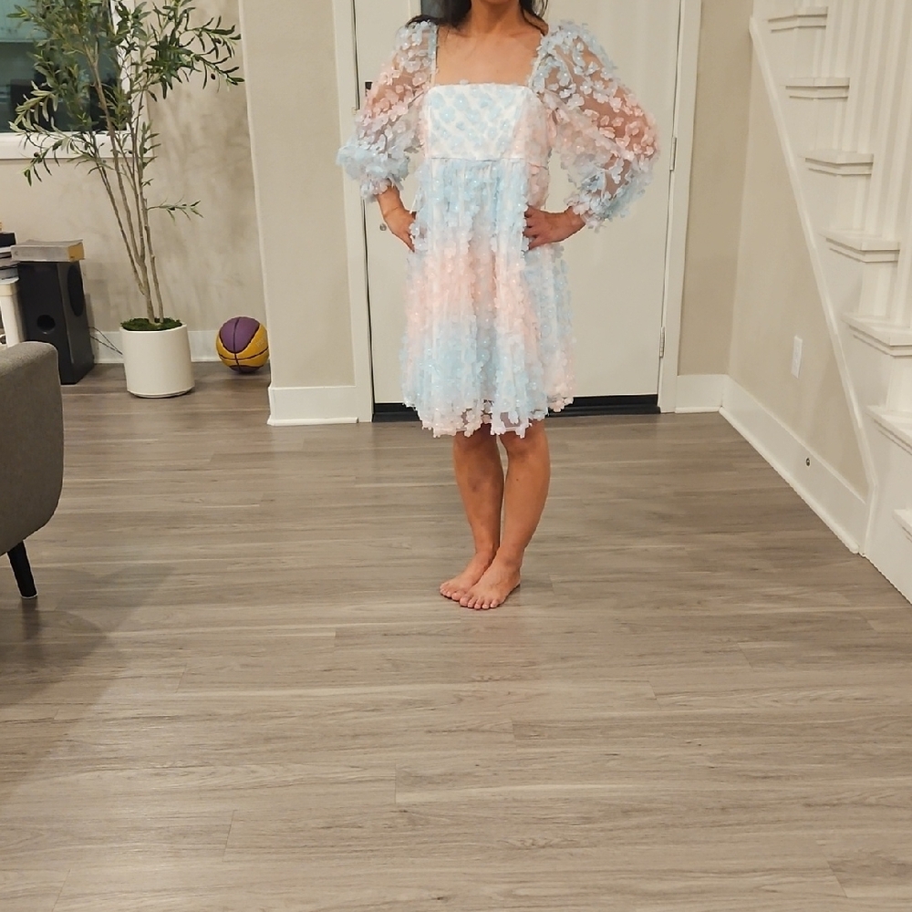 NWT STORIA Elegant Ombre Floral DRESS